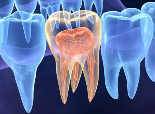 endodontia dentista no recreio dos bandeirantes